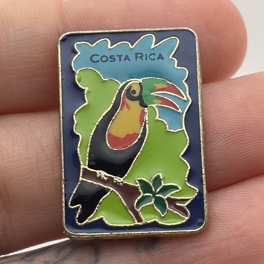Costa Rica Central America Toucan Rainforest Bird Lapel Hat Pin
